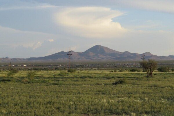 Picture 5