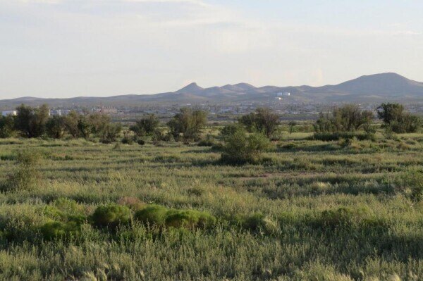 Picture 9