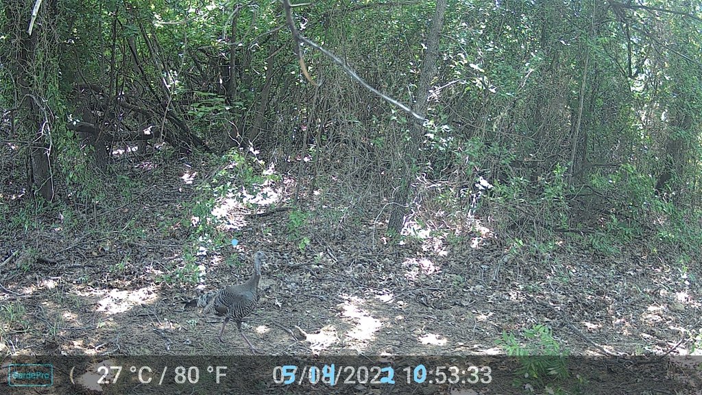 Picture 2