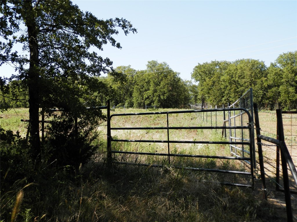 Picture 31