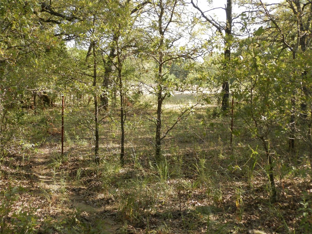 Picture 27