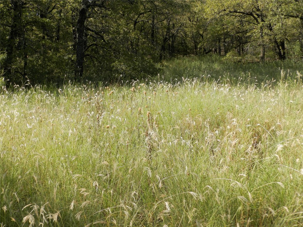Picture 28