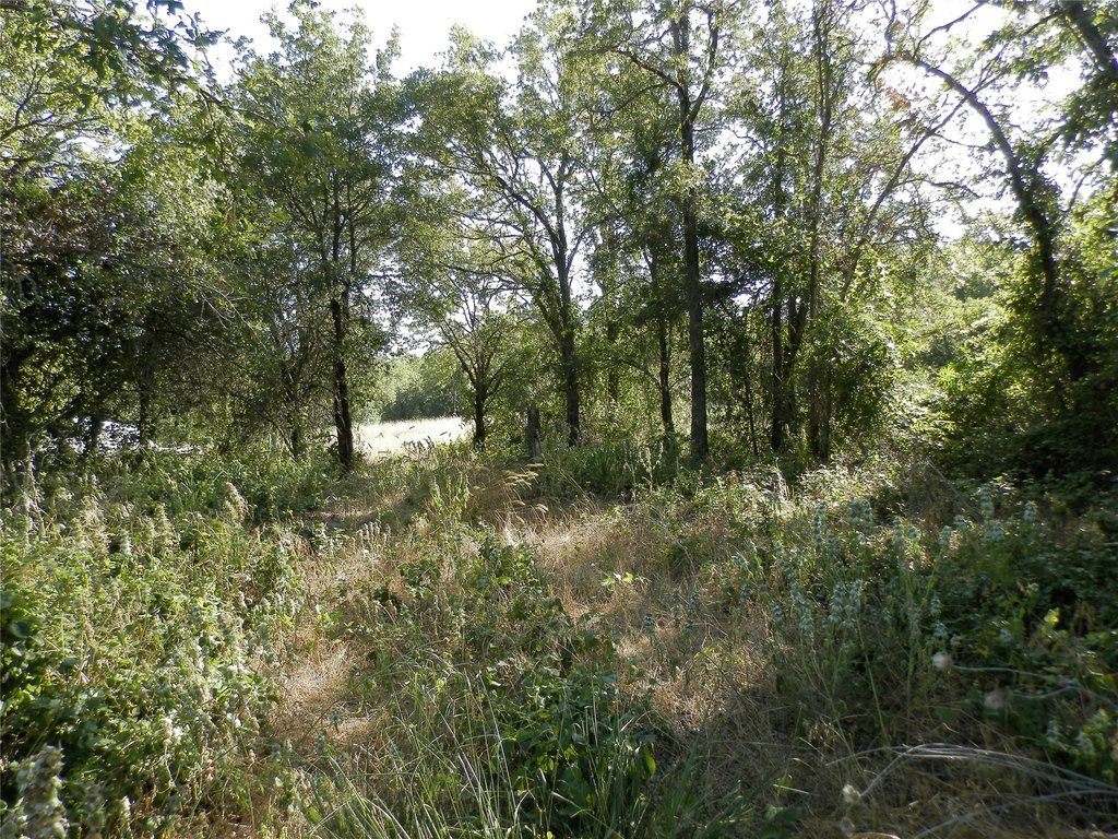 Picture 25