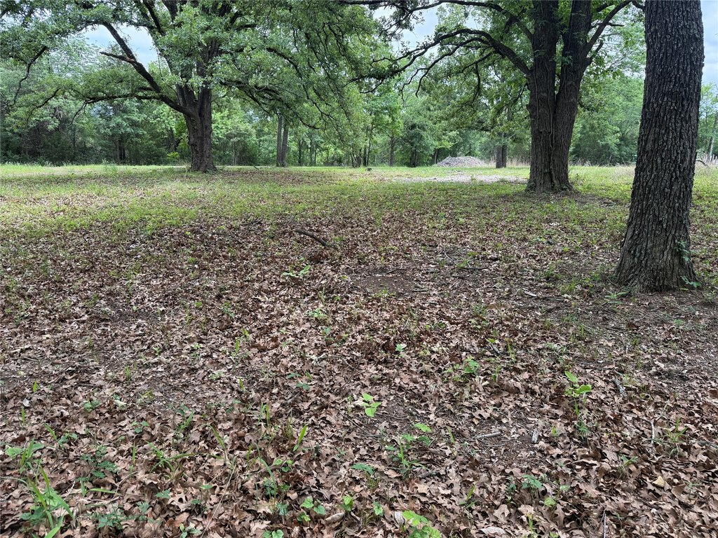 Picture 13
