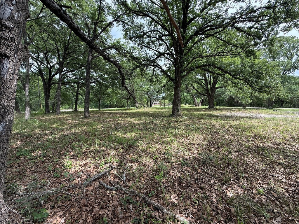 Picture 30