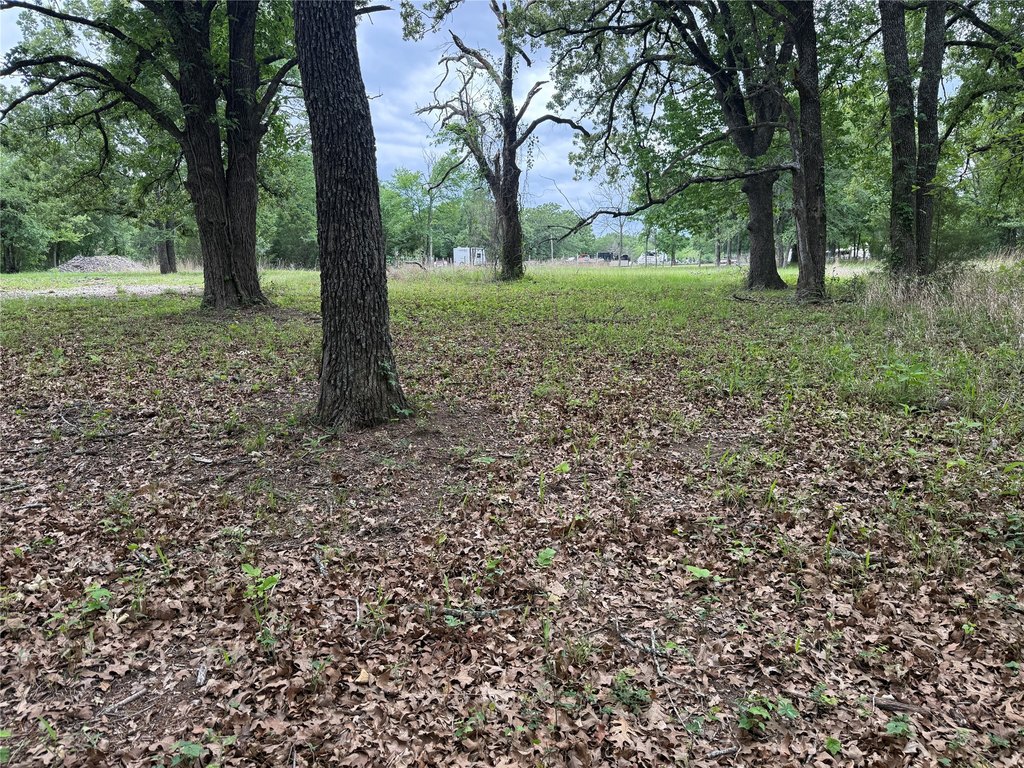 Picture 17