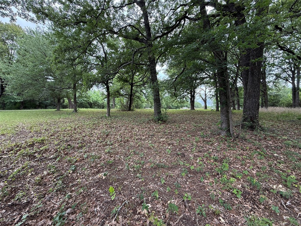 Picture 35