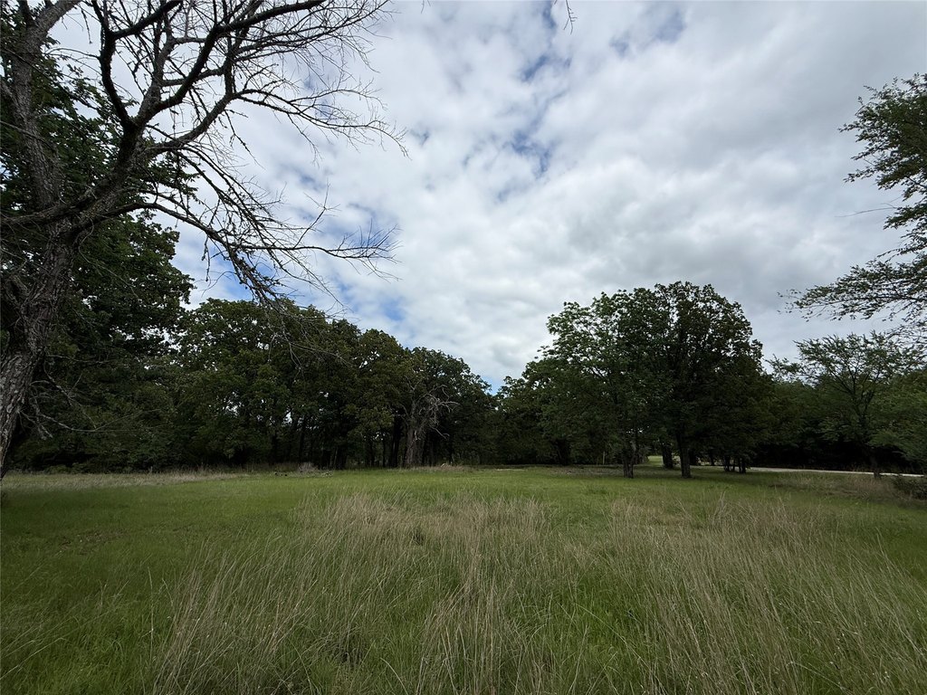 Picture 21