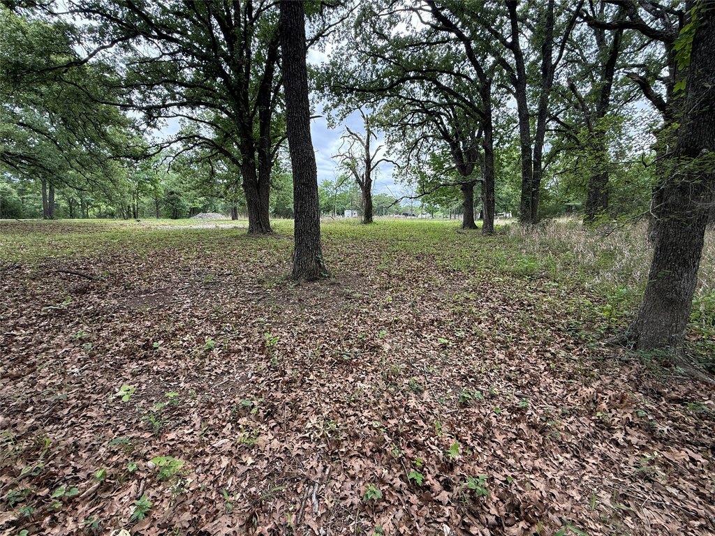 Picture 29