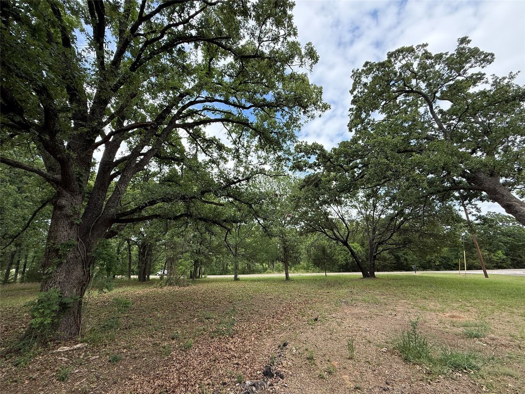 Picture 19