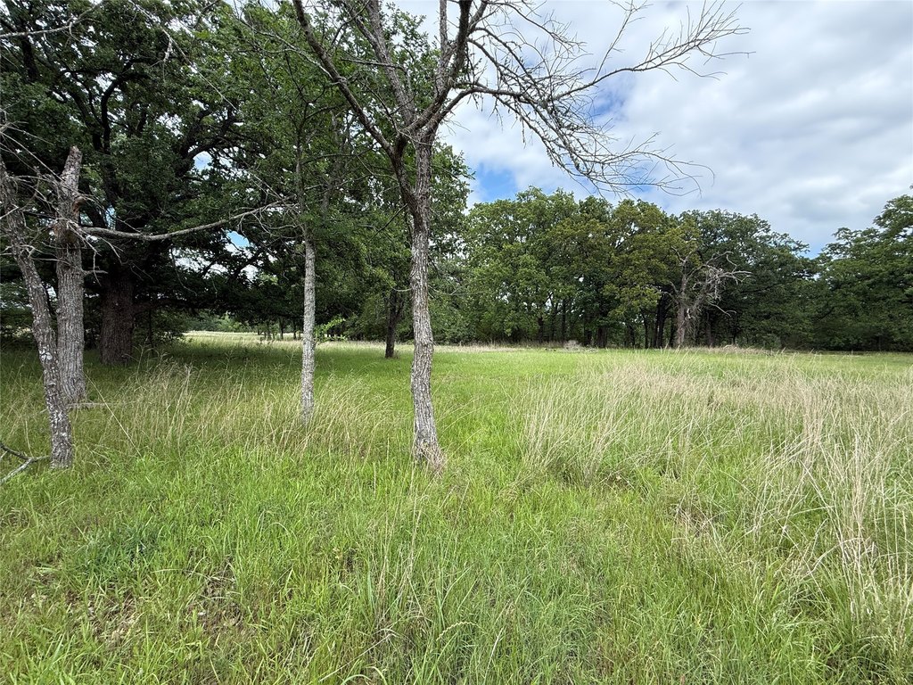 Picture 24