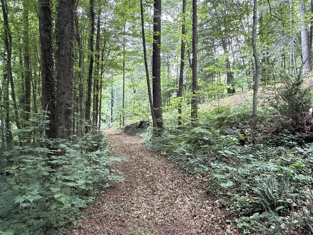 Picture 4