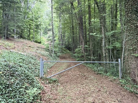 Vacant Land - Black Mountain, NC
