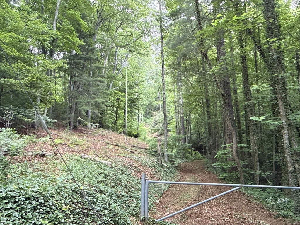 Picture 3