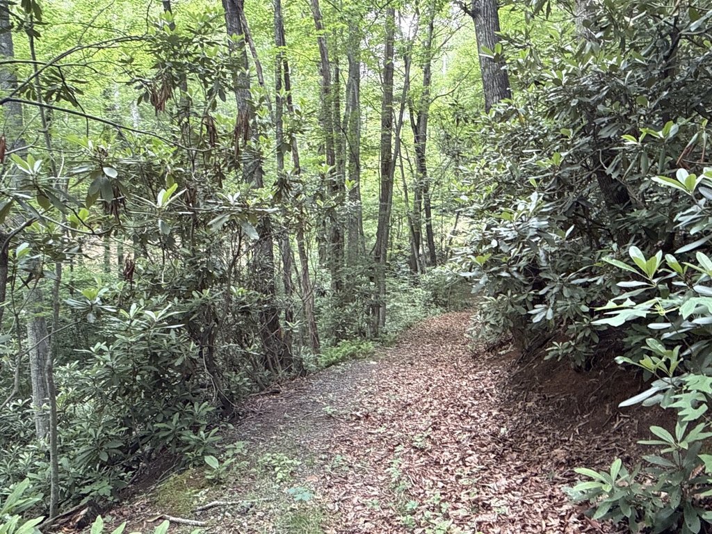 Picture 7