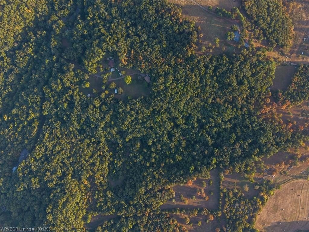 Picture 13