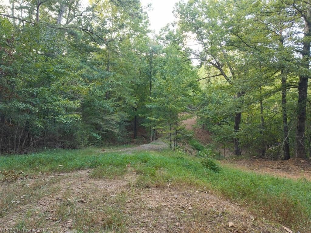 Picture 9