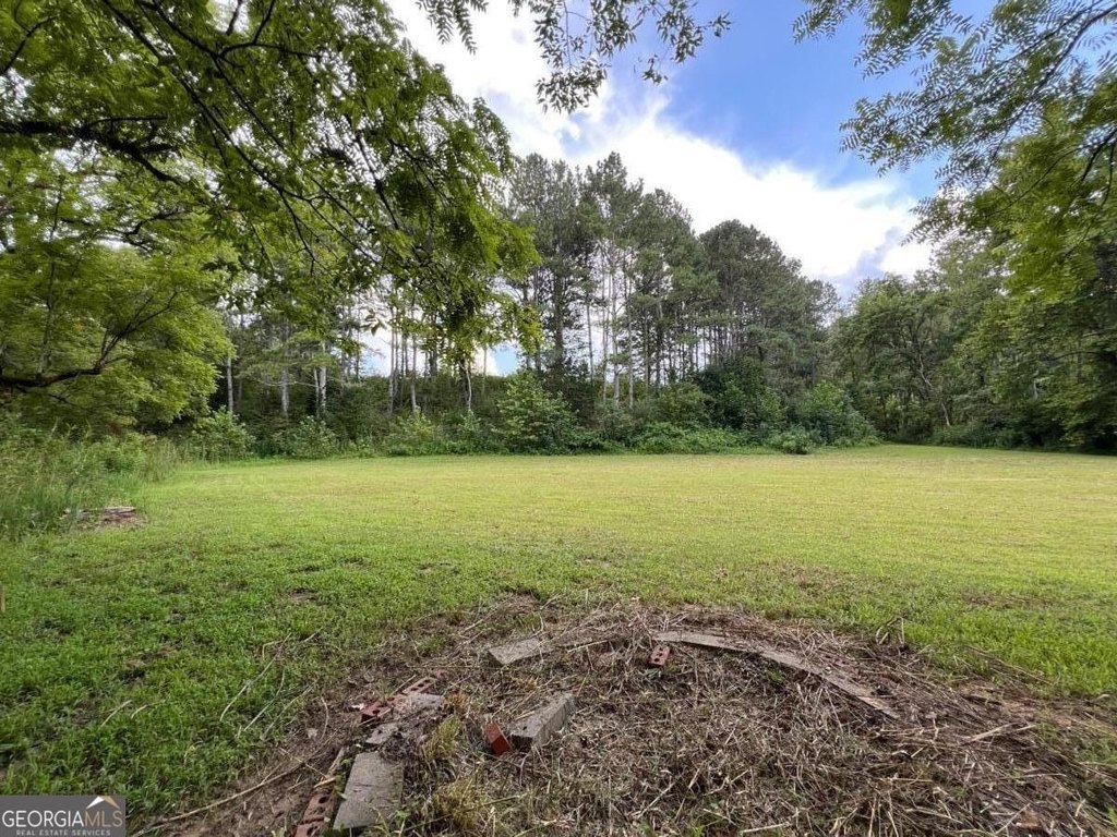Picture 6