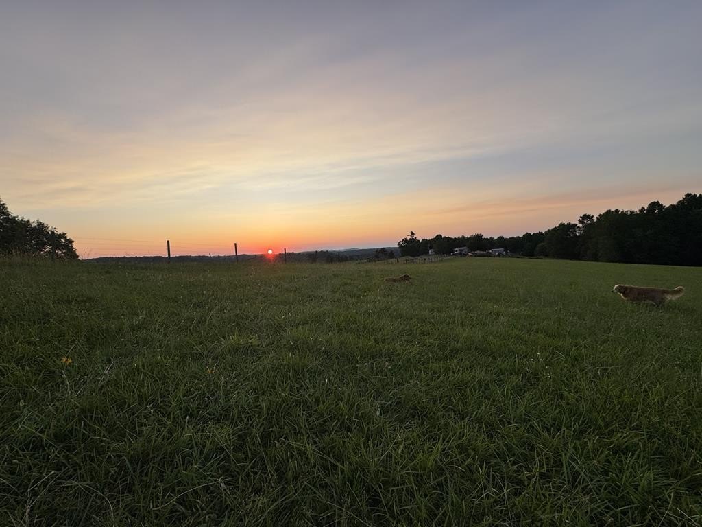 Picture 24