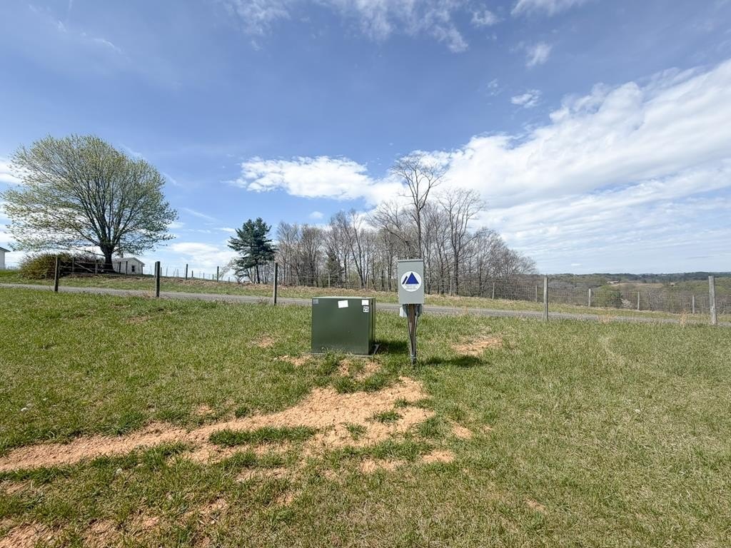 Picture 16