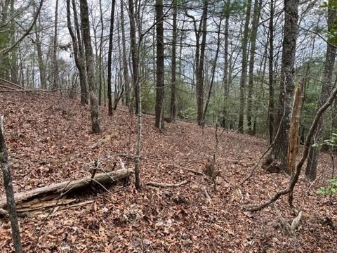 Land in Murphy, North Carolina