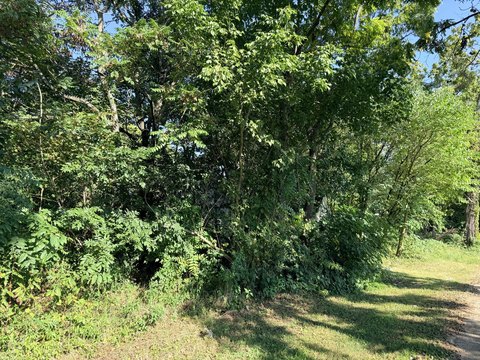 Land, Morristown, TN