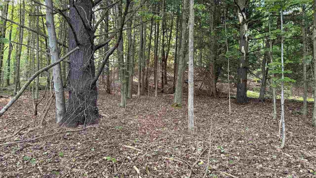 Picture 16