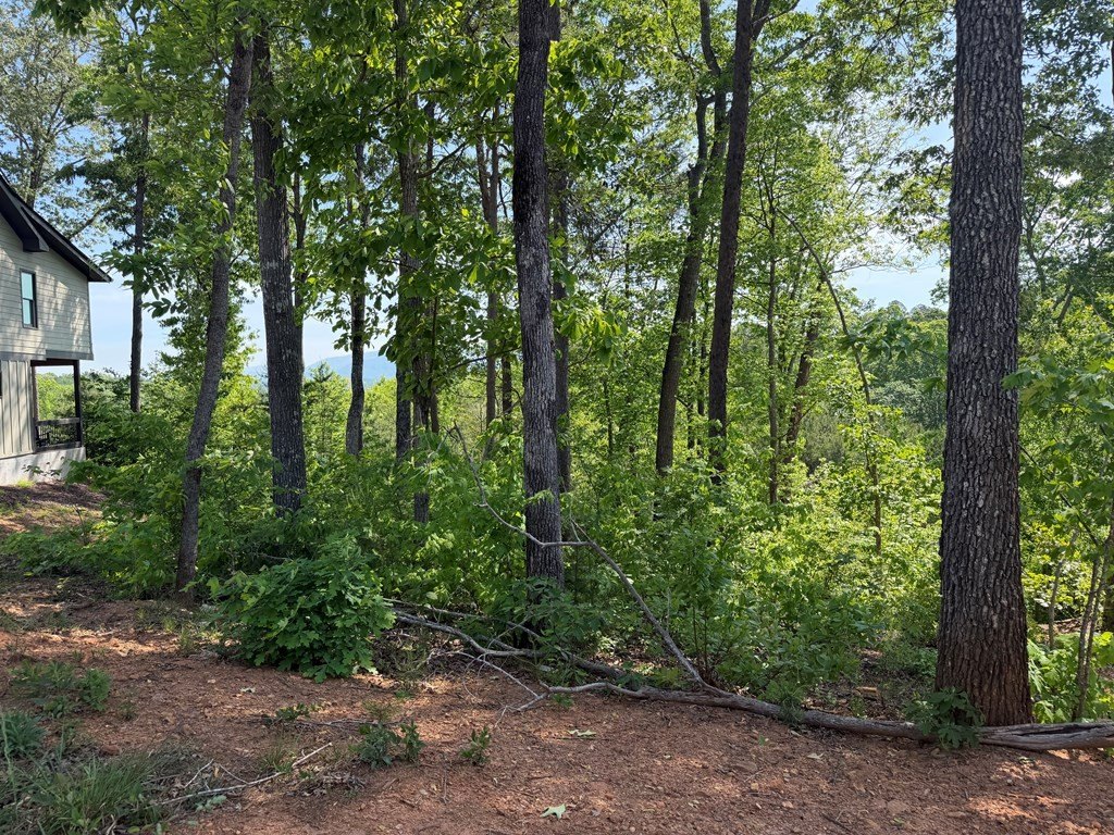 Picture 22