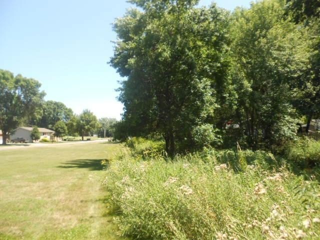 Picture 3