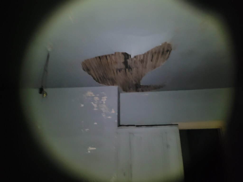 Picture 25