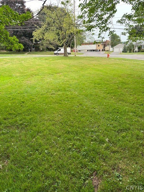 Picture 5