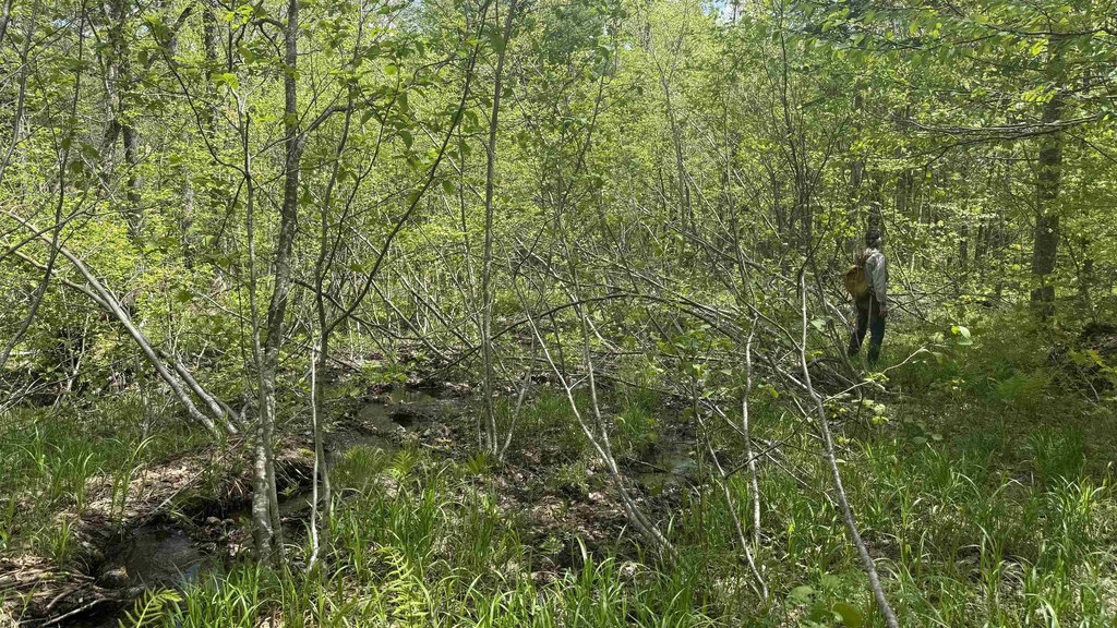 Picture 4