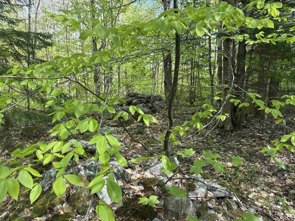 Picture 38