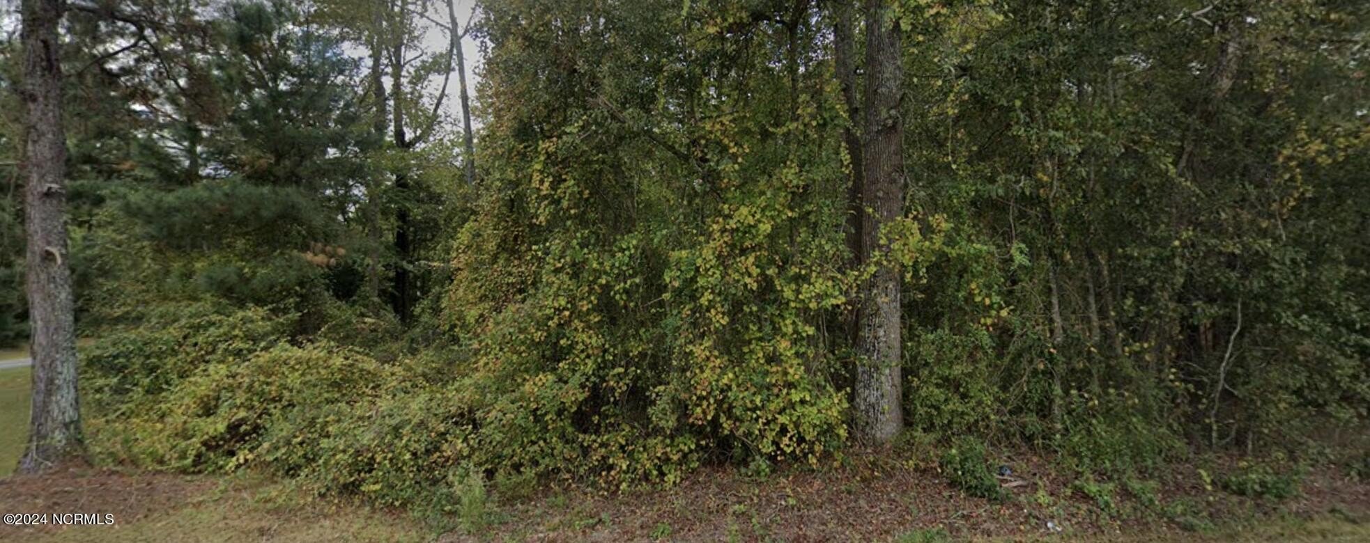 Pikeville, NC Land Opportunity