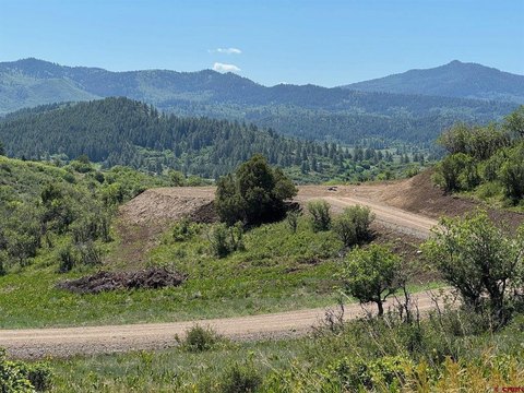 Land For Sale, Pagosa Springs