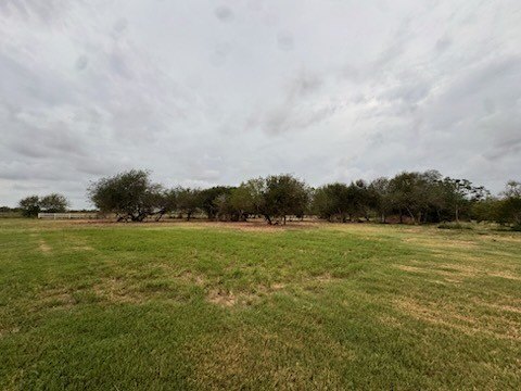 Picture 8