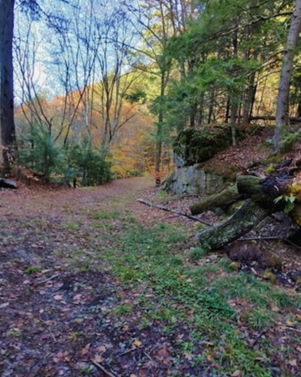 Picture 8