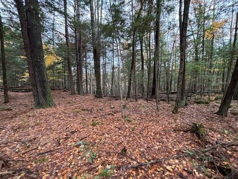 Keene Land Parcel For Sale