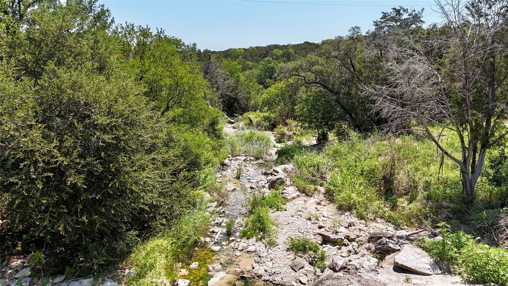 Picture 13