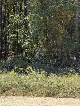 Vacant Land, Pine Bluff, AR