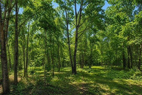 Residential Homesite in Highlands