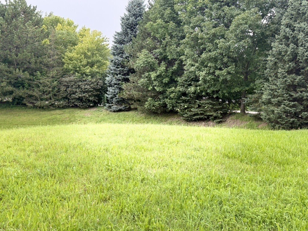 Picture 12