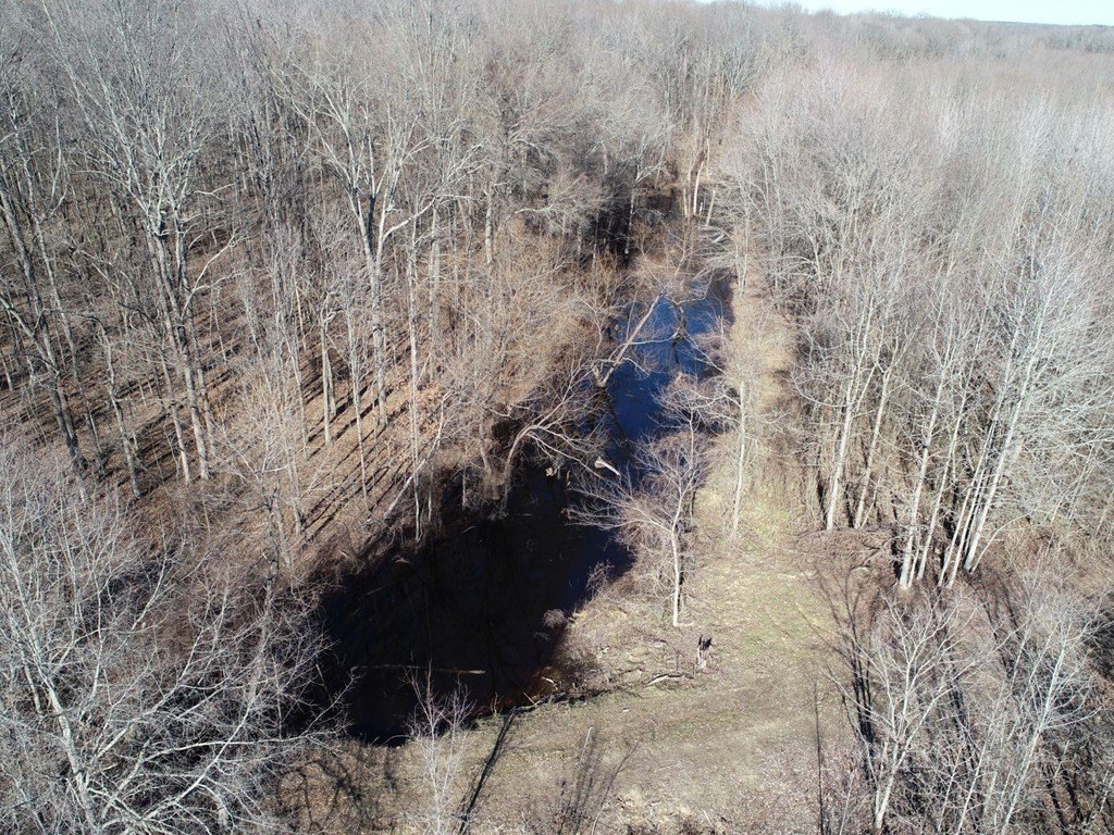 Picture 39