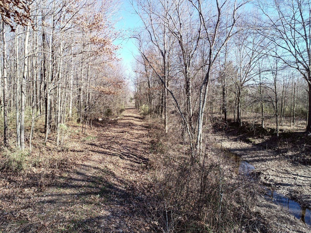 Picture 35