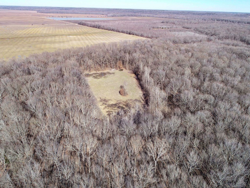 Picture 24