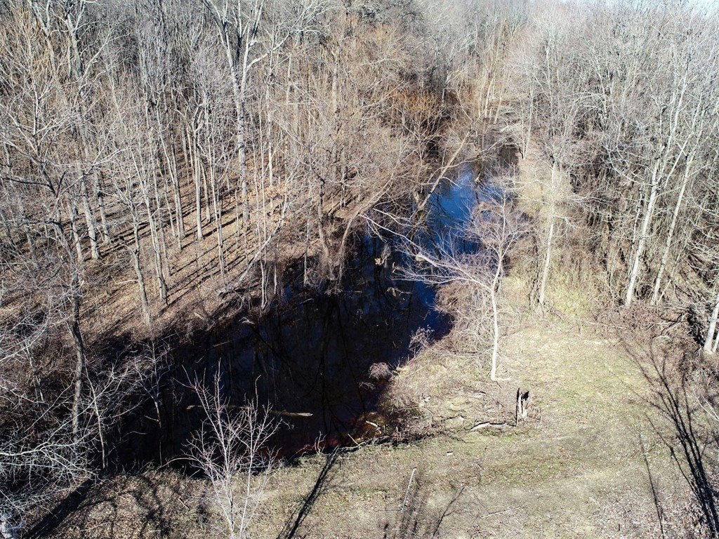 Picture 40