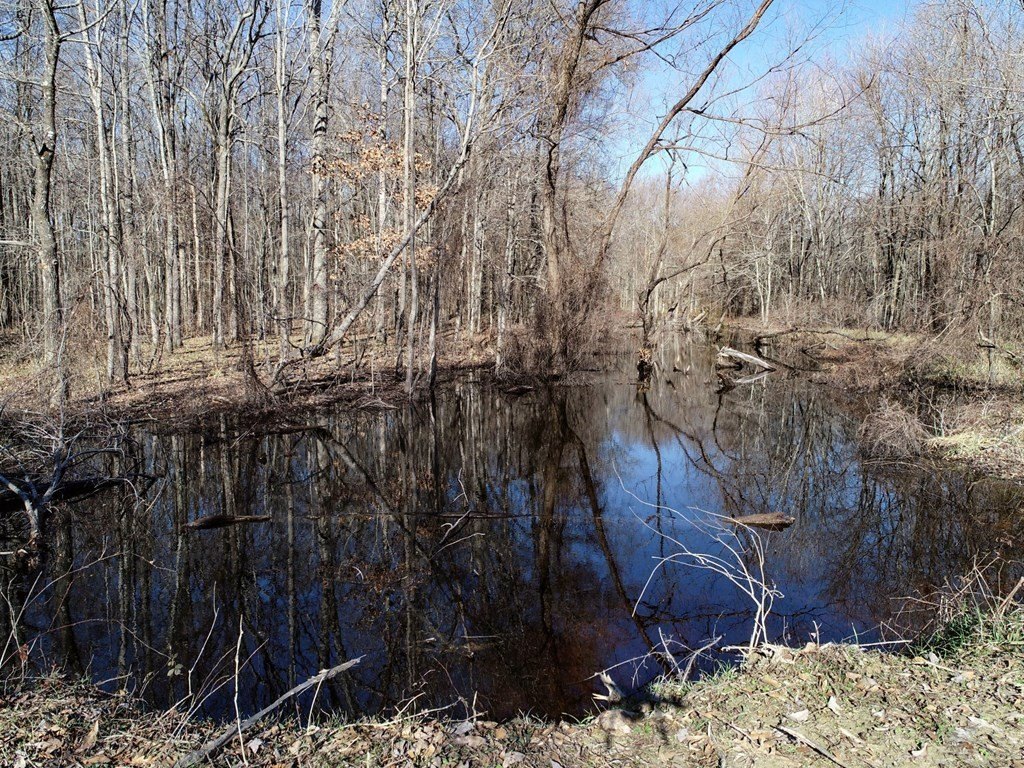Picture 41