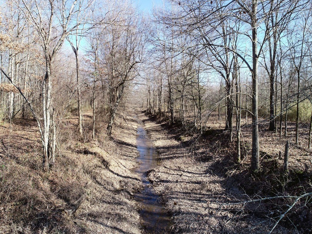 Picture 36