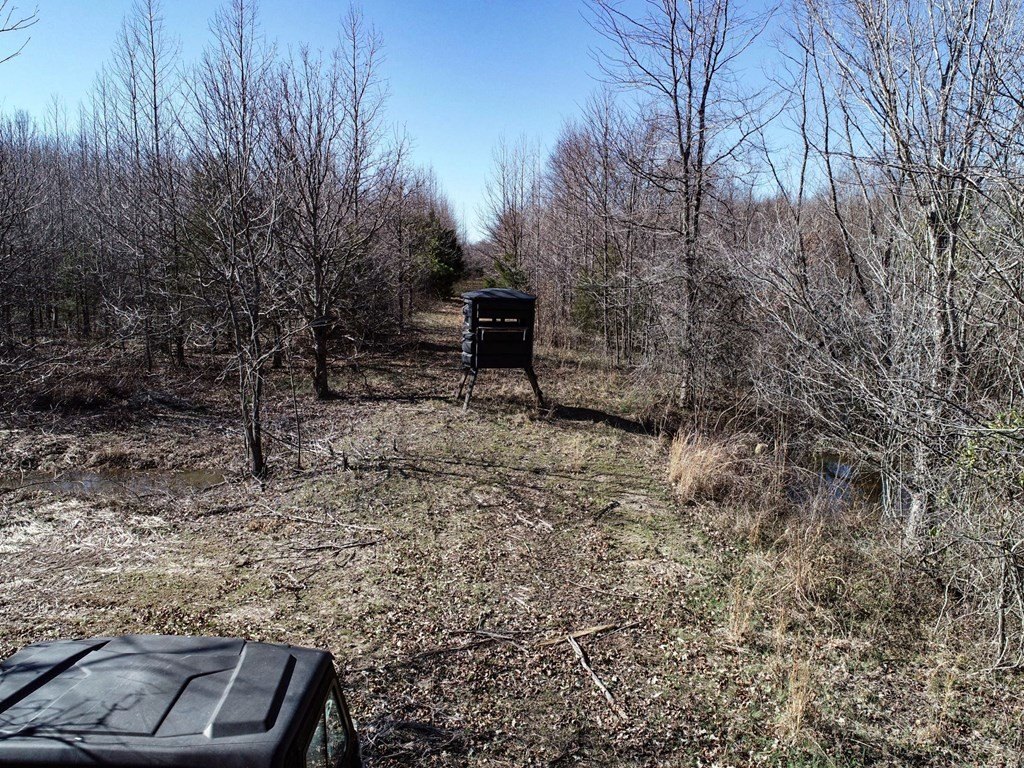 Picture 19