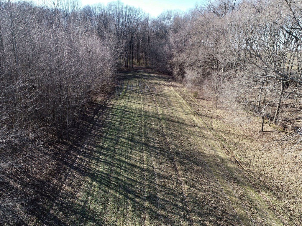 Picture 54